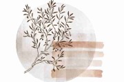 热点观测《糖心vlog入口官网》品牌联名背后真相