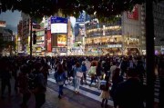 糖心vlog入口官网新手指南·直播运营实战分享